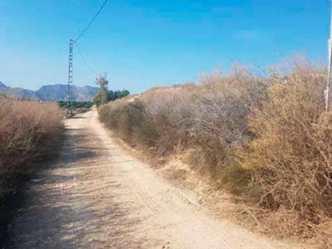 Terreno en venta en Orihuela, Alicante photo 4