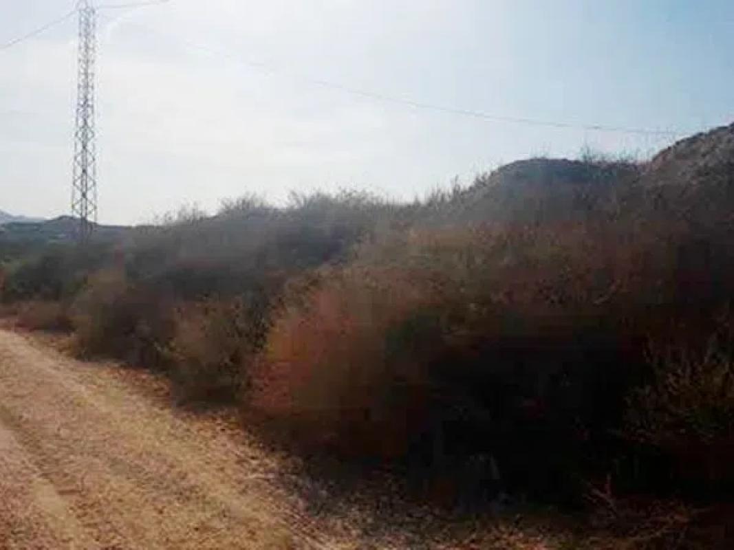 Terreno en venta en Orihuela, Alicante photo 5
