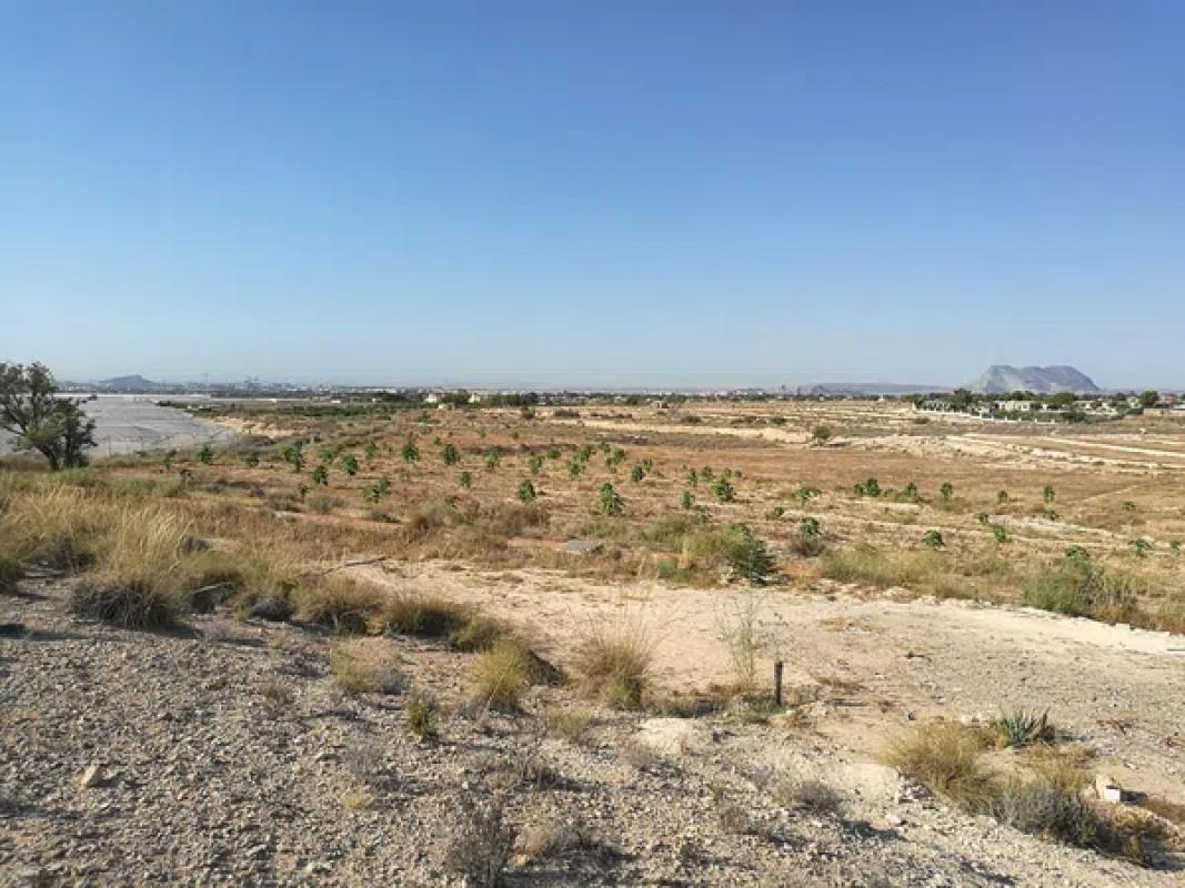 Terreno en venta en Mutxamel, Alicante photo 2