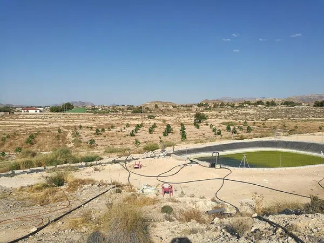 Terreno en venta en Mutxamel, Alicante photo 3