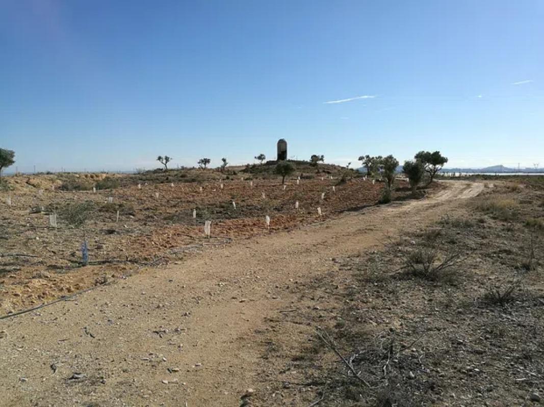 Terreno en venta en Mutxamel, Alicante photo 4