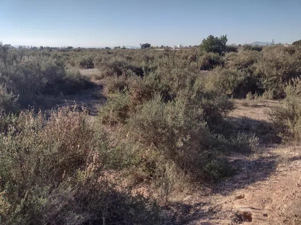 Terreno en Algoda-Matola-Llano de San José photo 1