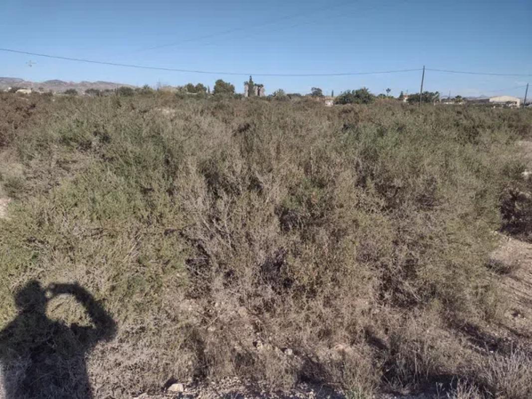 Land for sale in Elche / Elx, Alicante photo 2