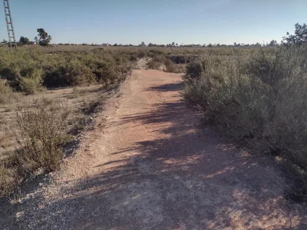 Land for sale in Elche / Elx, Alicante photo 4