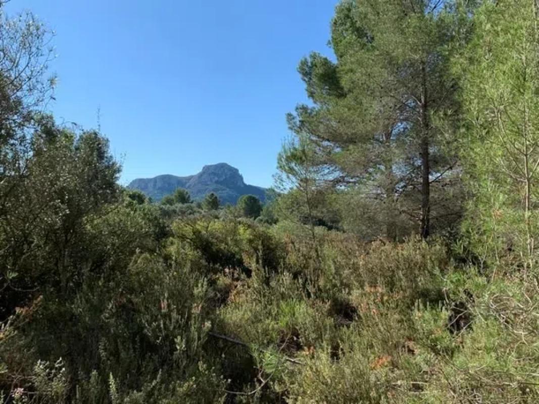 Terreno en venta en Benissa, Alicante photo 5