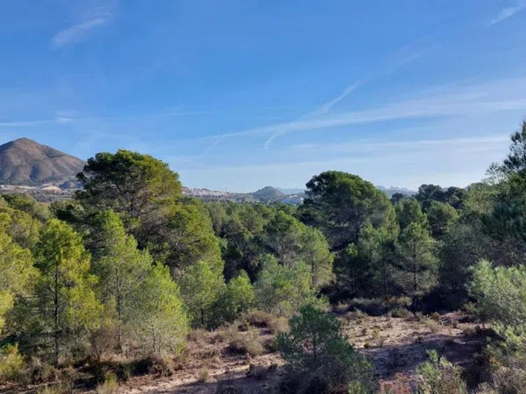 Land for sale in La Villajoyosa / Vila Joiosa, Alicante photo 1