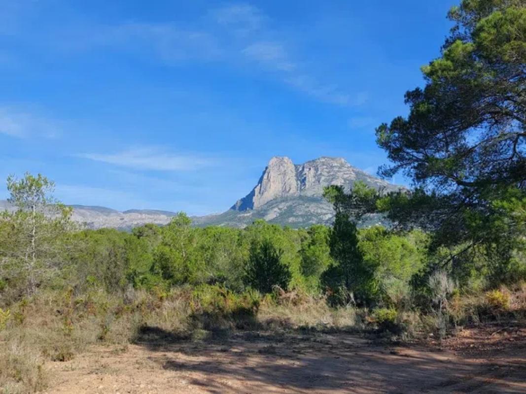 Land for sale in La Villajoyosa / Vila Joiosa, Alicante photo 3