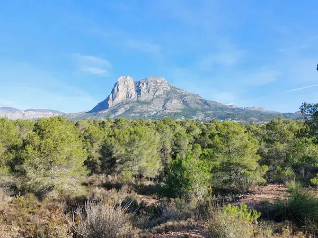 Land for sale in La Villajoyosa / Vila Joiosa, Alicante photo 5