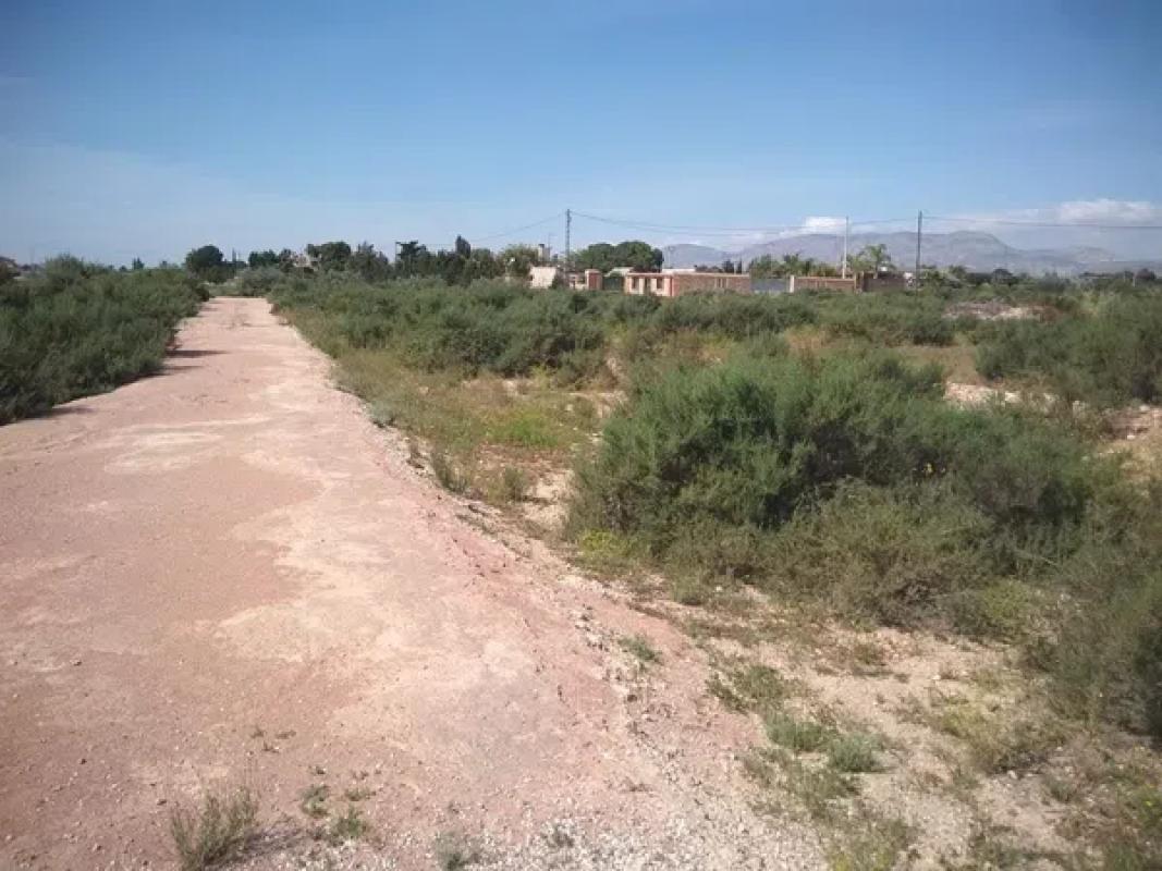 Działka na sprzedaż w Elche / Elx, Alicante photo 1