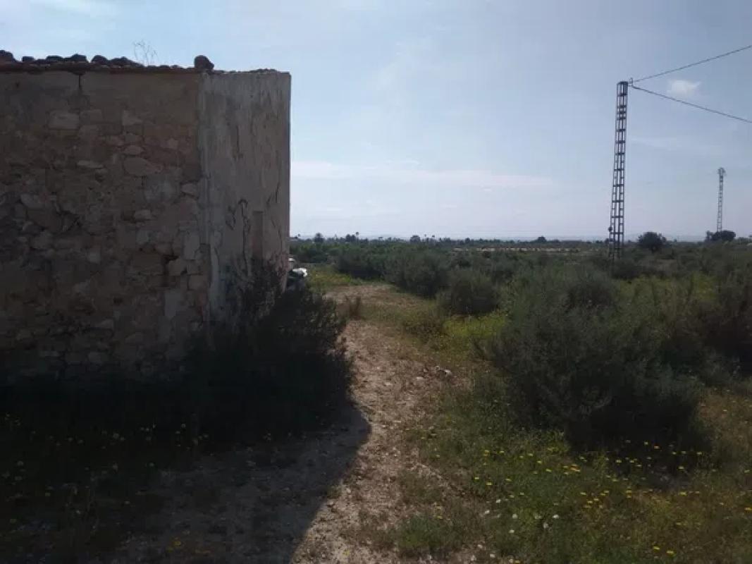 Działka na sprzedaż w Elche / Elx, Alicante photo 3