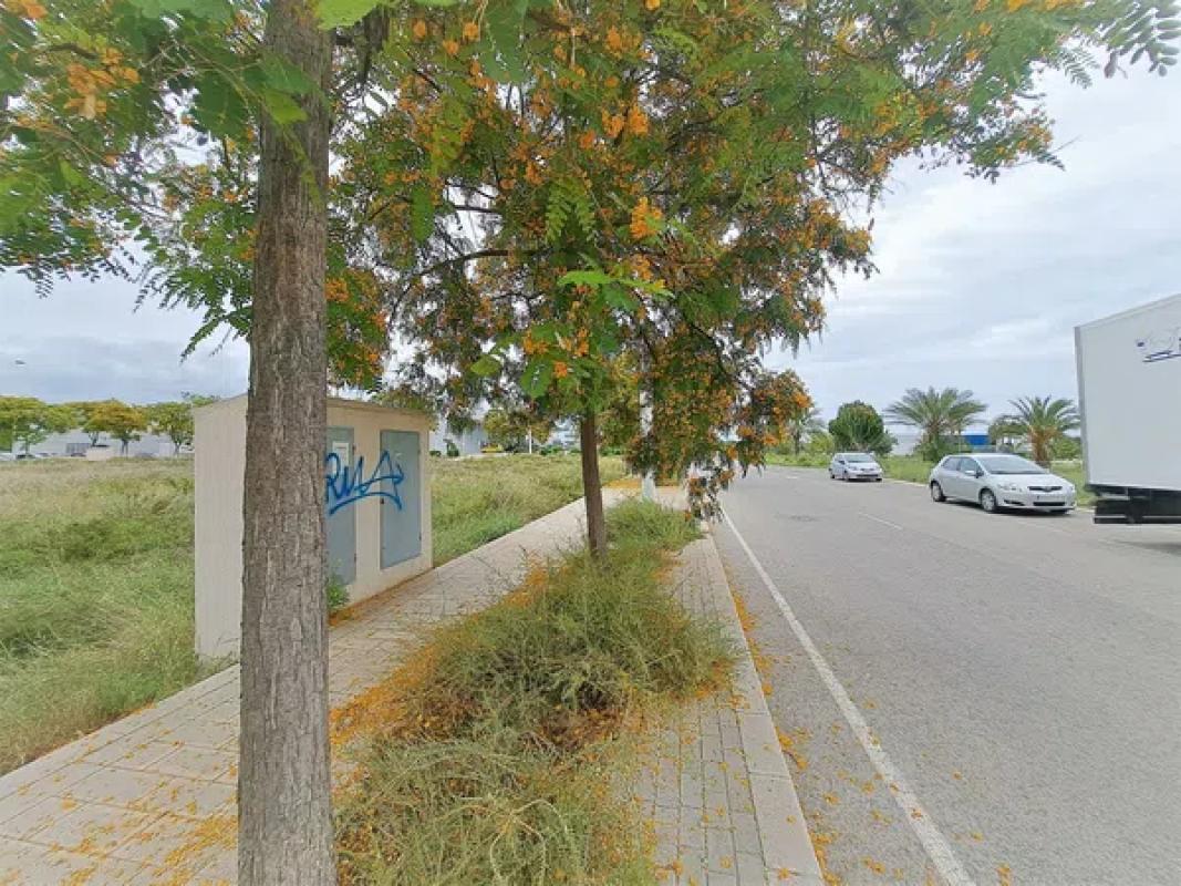 Terreno en venta en Elche / Elx, Alicante photo 2