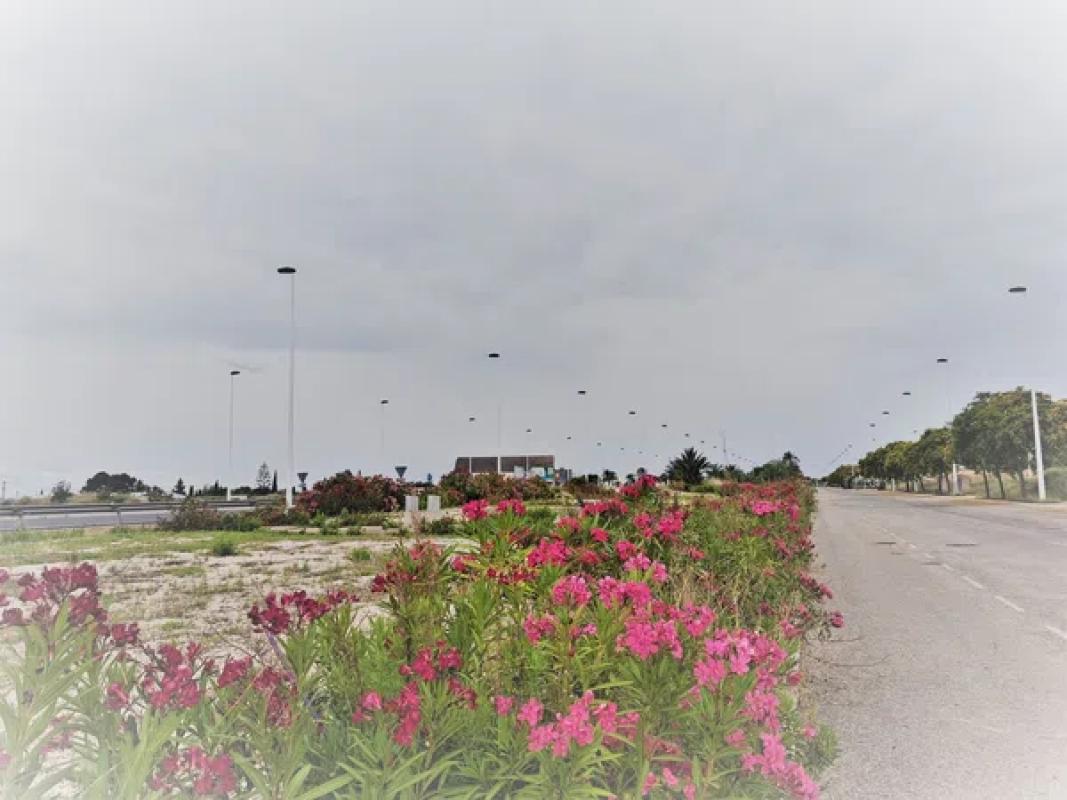 Terreno en venta en Elche / Elx, Alicante photo 3