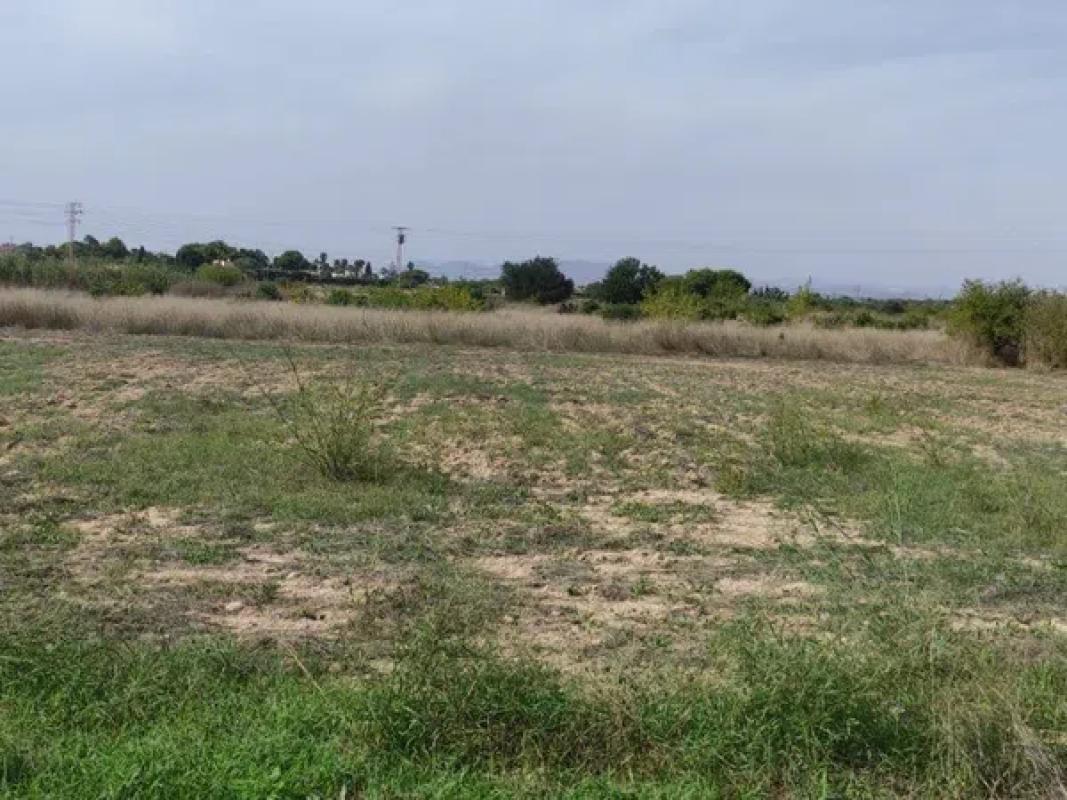 Land for sale in Santa Pola, Alicante photo 1