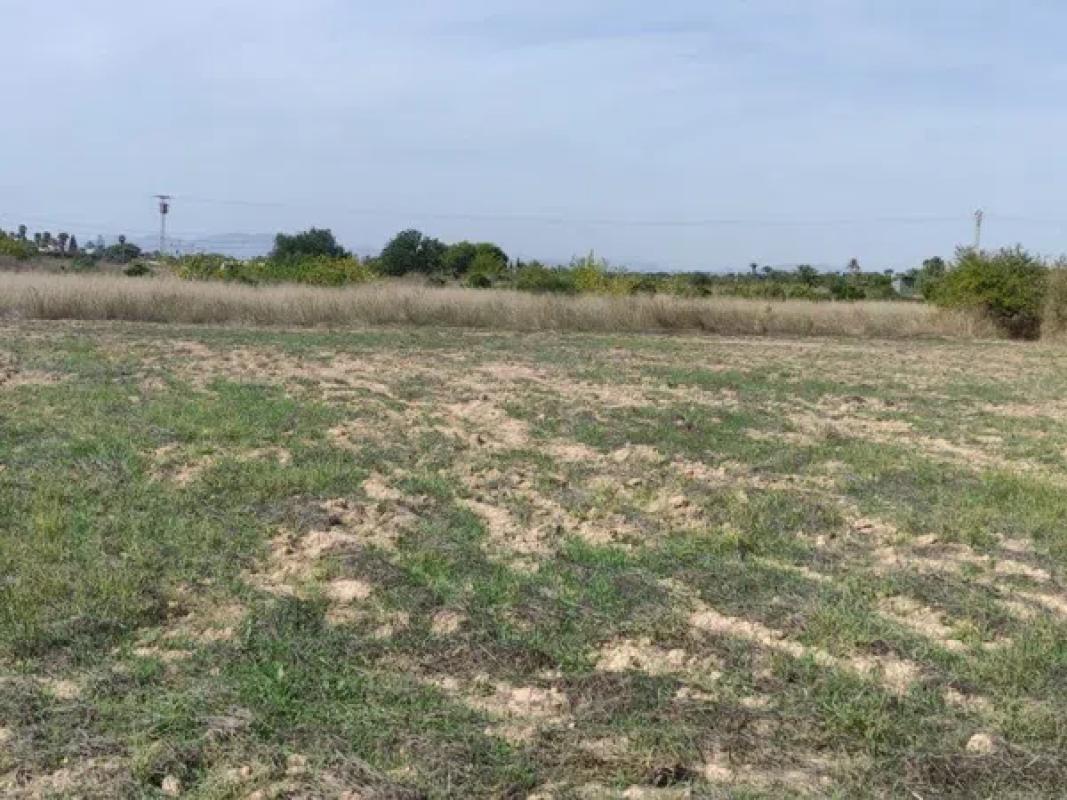 Land for sale in Santa Pola, Alicante photo 3