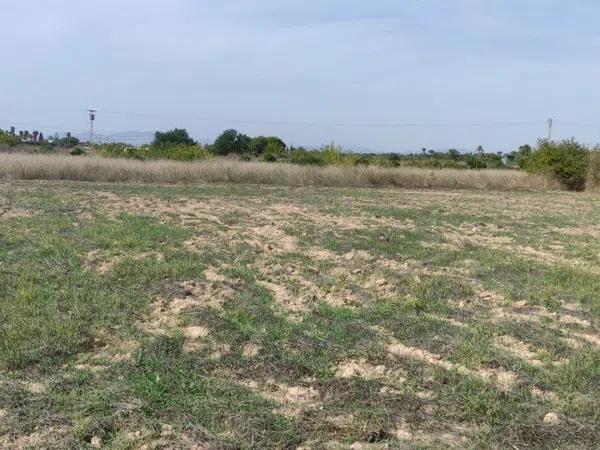 Terreno en Zona norte photo 3