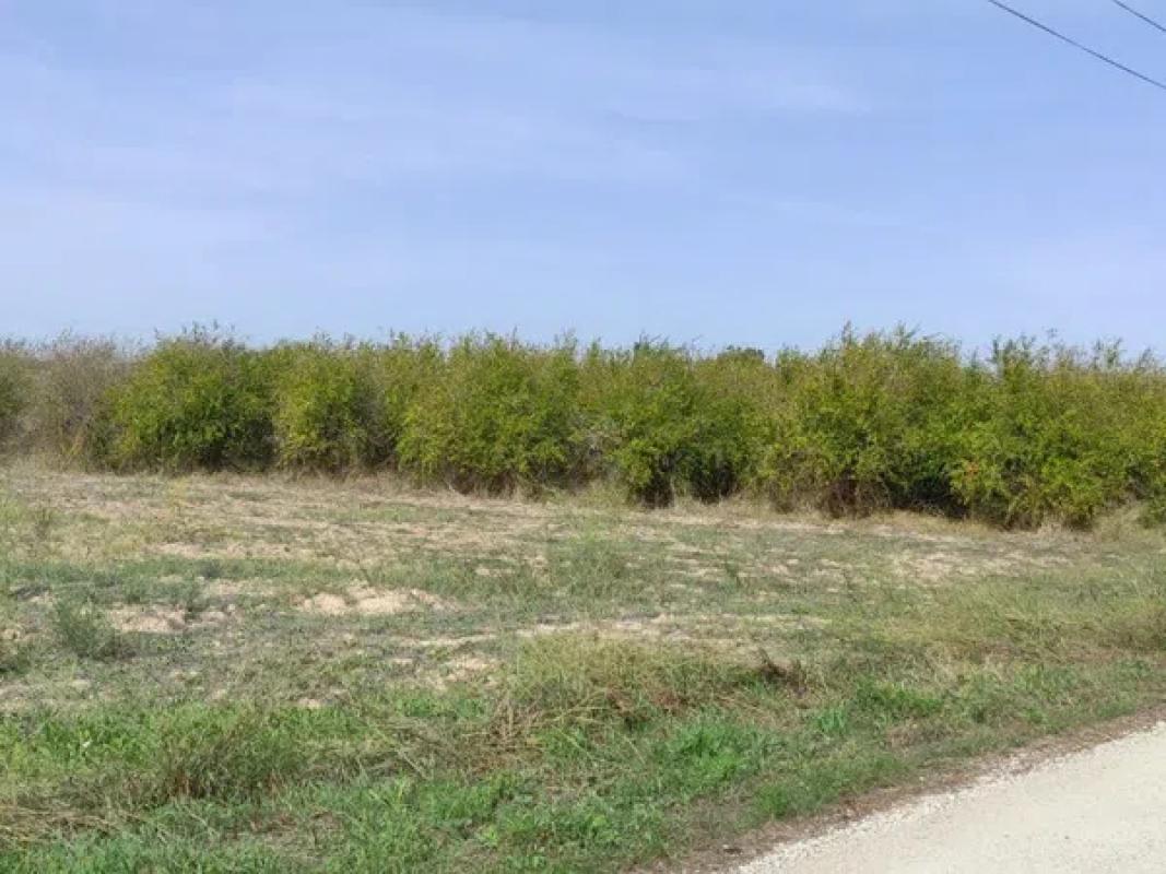 Land for sale in Santa Pola, Alicante photo 4