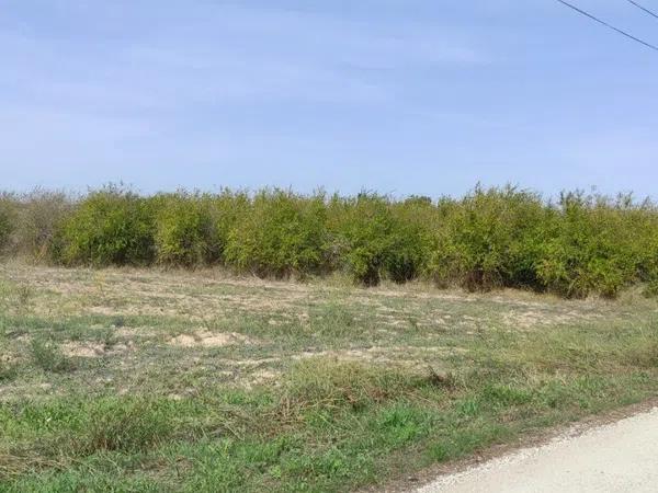 Terreno en Zona norte photo 4