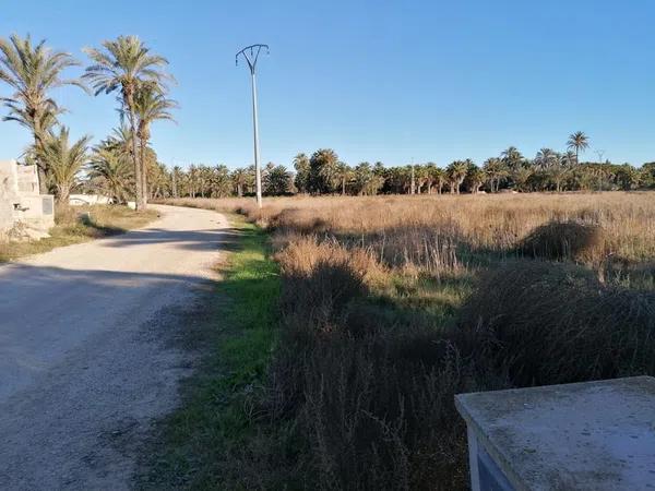 Terreno en camino Teodoro Roa Daimés, 56 DaimsPolgonoparcela photo