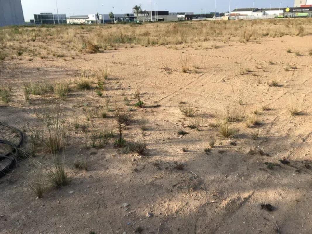 Land for sale in Elche / Elx, Alicante photo 1