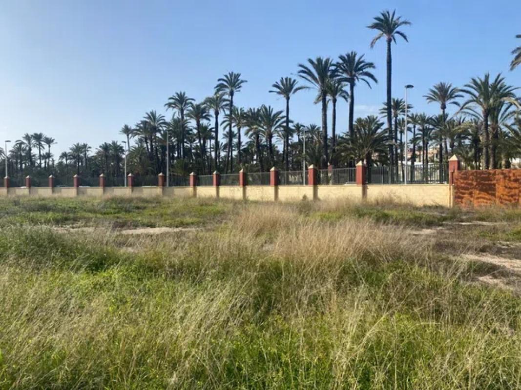 Terreno en venta en Elche / Elx, Alicante photo 2