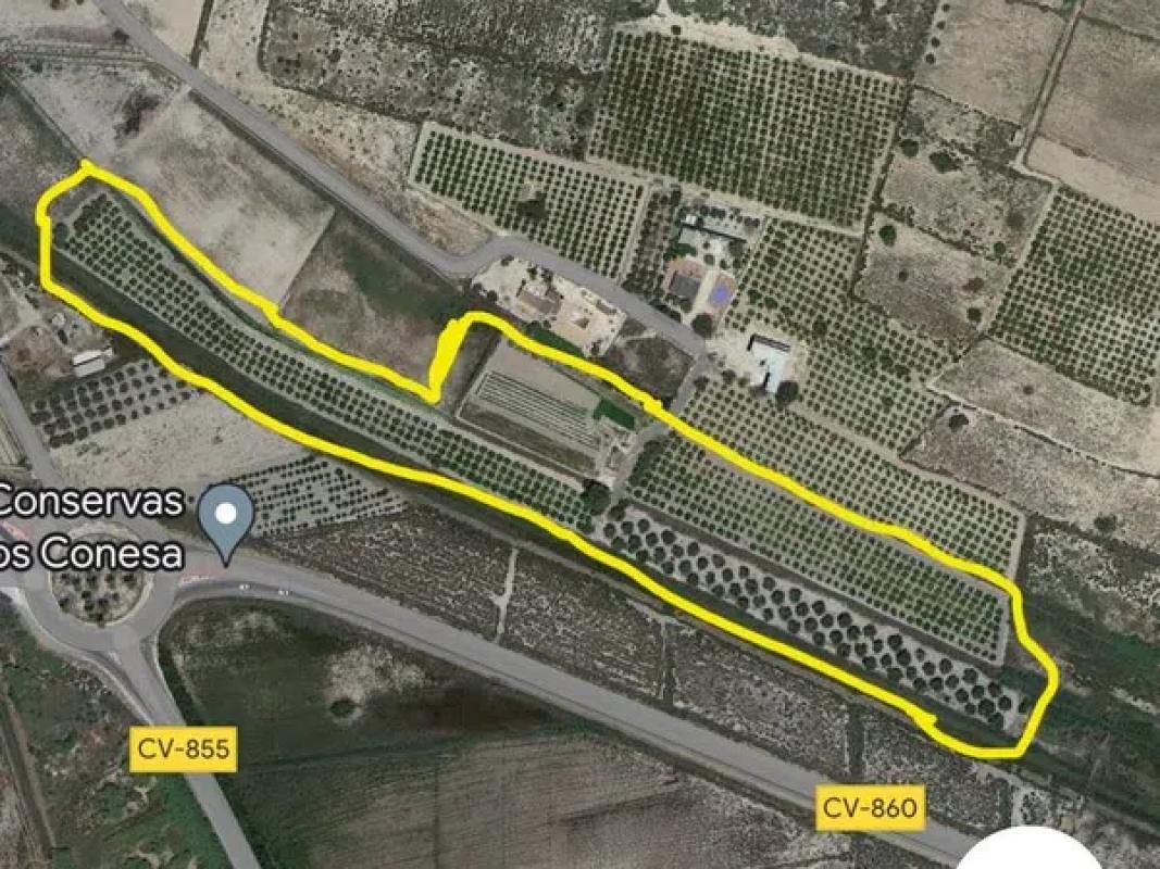 Terreno en venta en Elche / Elx, Alicante photo 1
