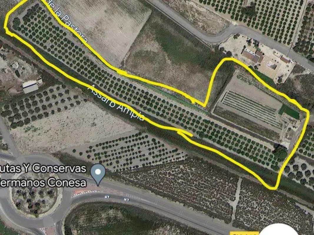 Terreno en venta en Elche / Elx, Alicante photo 2