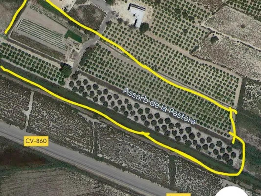 Terreno en venta en Elche / Elx, Alicante photo 3