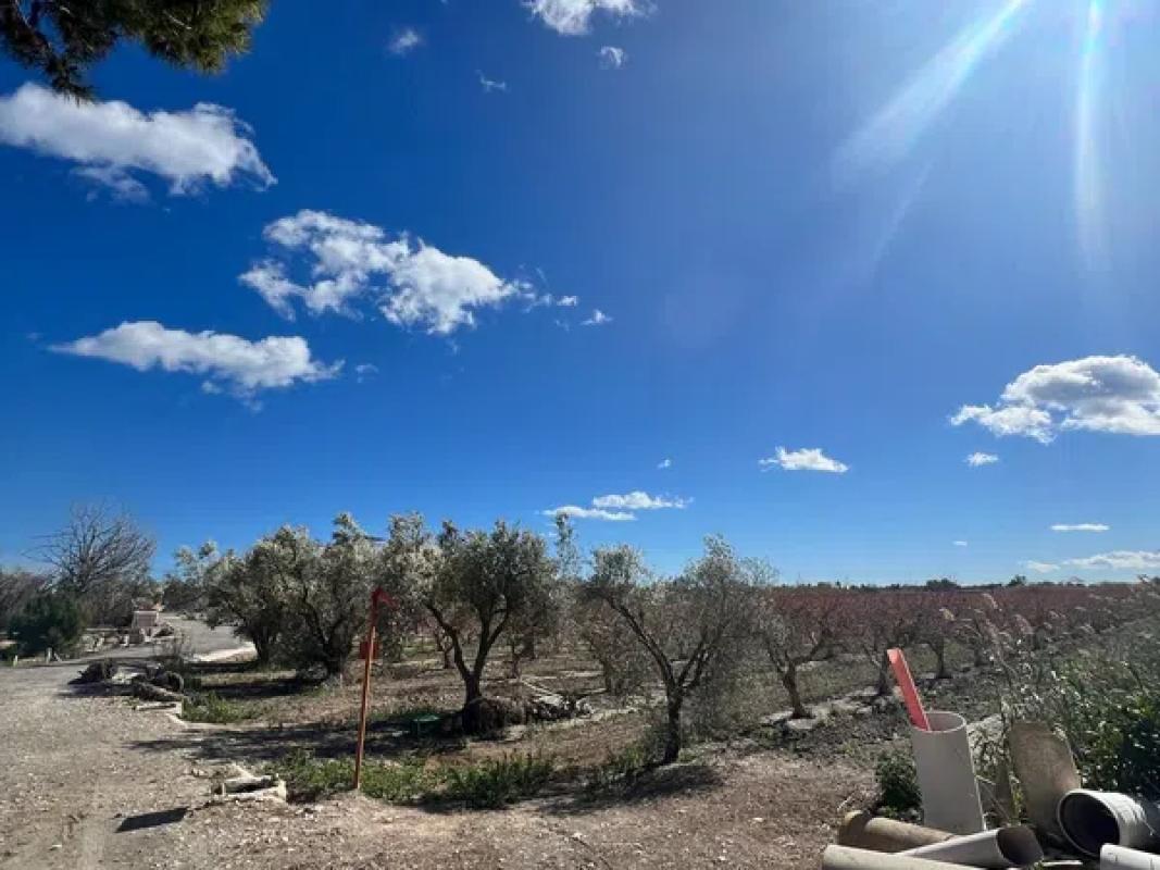 Terreno en venta en Elche / Elx, Alicante photo 5