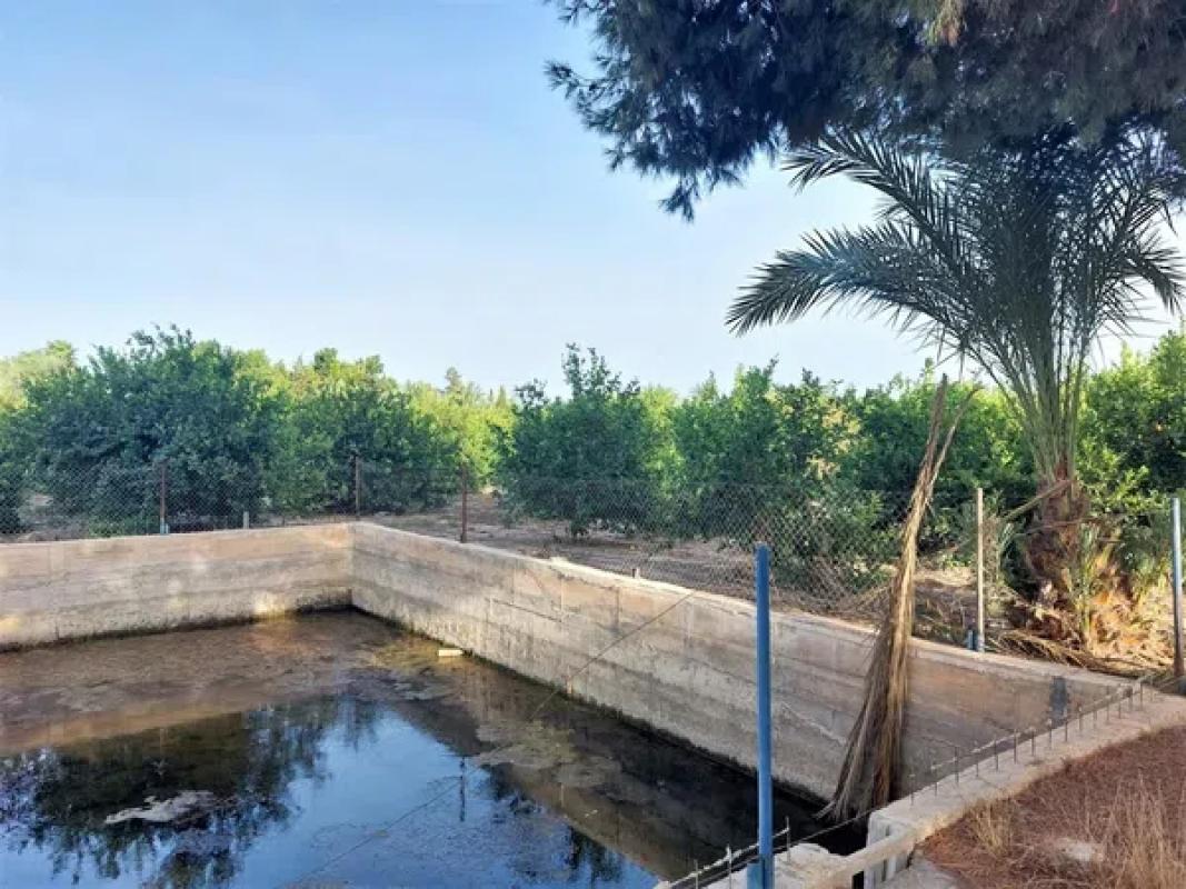 Terreno en venta en Elche / Elx, Alicante photo 3