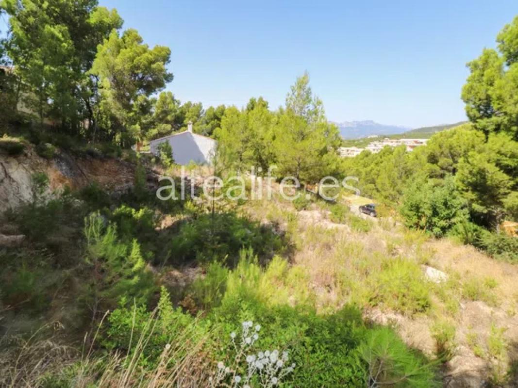 Участок земли на продажу в Алтея, Аликанте photo 3