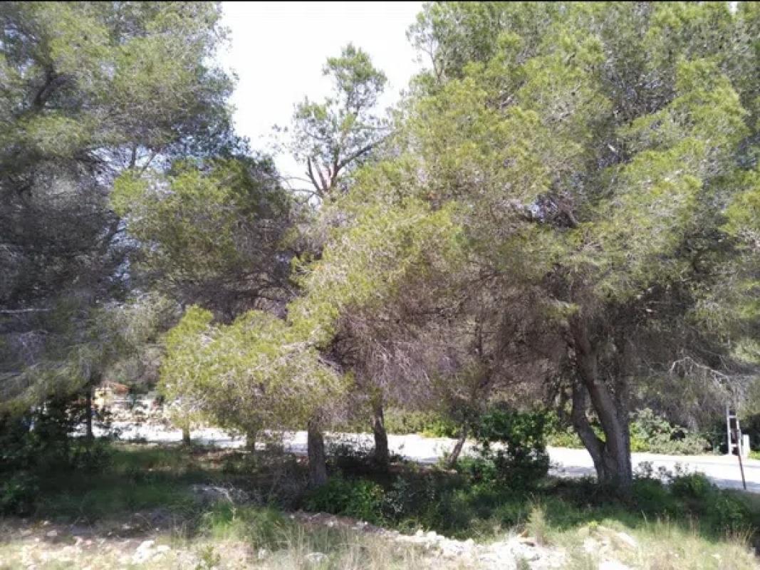Działka na sprzedaż w Jávea/Xàbia, Alicante photo 5