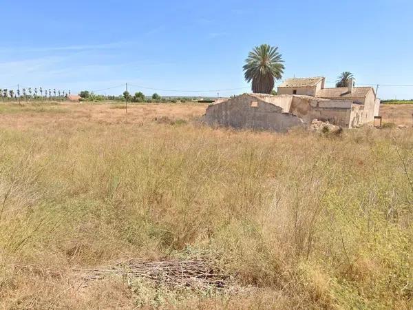 Terreno en carretera Elx - Santa Pola photo 1