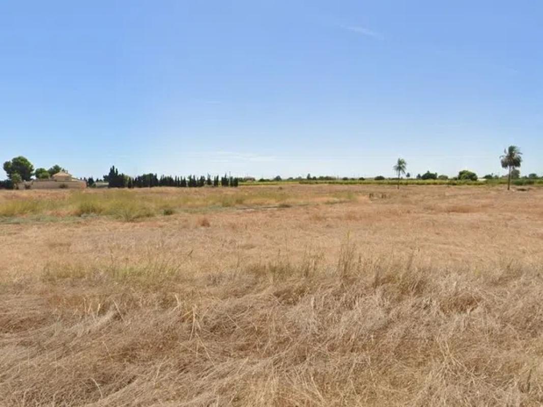 Terreno en venta en Elche / Elx, Alicante photo 3