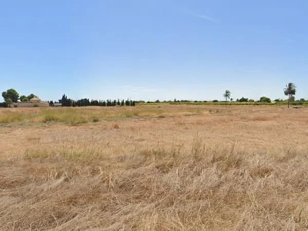 Terreno en carretera Elx - Santa Pola thumbnail 2