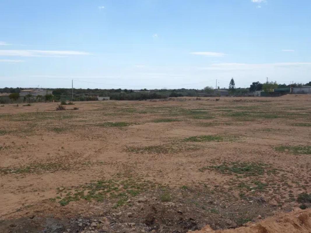 Terreno en venta en Elche / Elx, Alicante photo 3