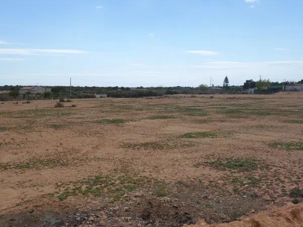 Terreno en avenida de l'Altet, 3 TorrelanoAltopoln photo 3