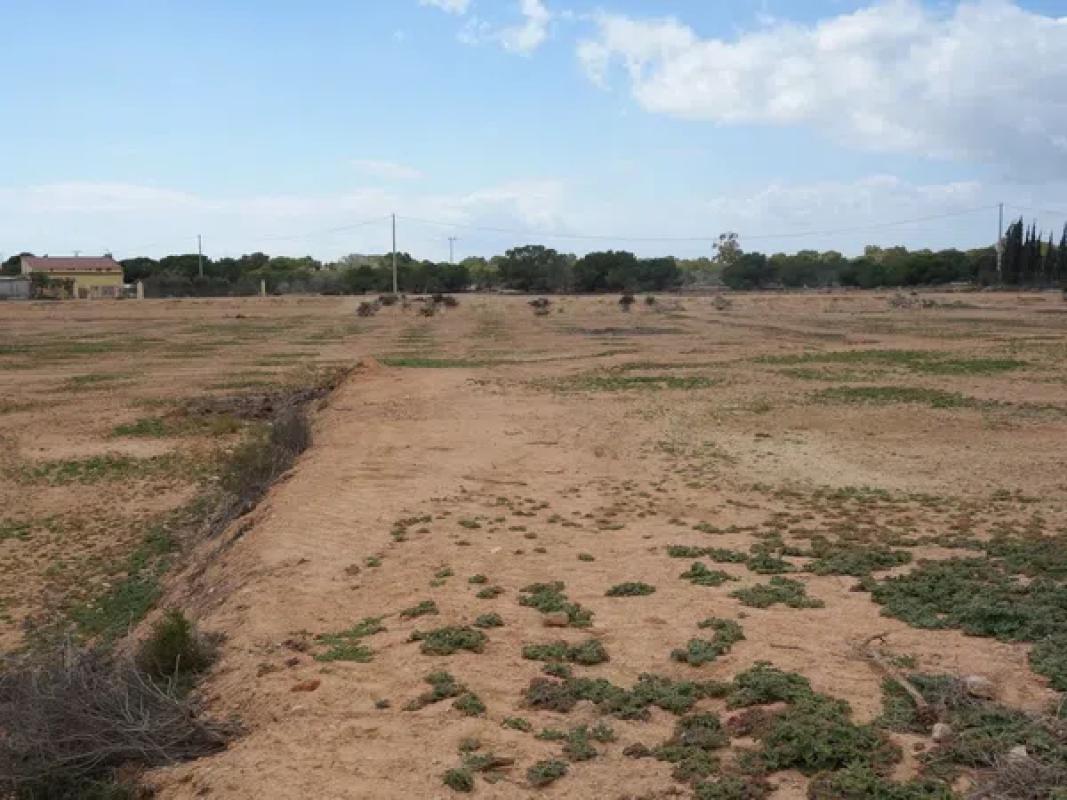 Terreno en venta en Elche / Elx, Alicante photo 4