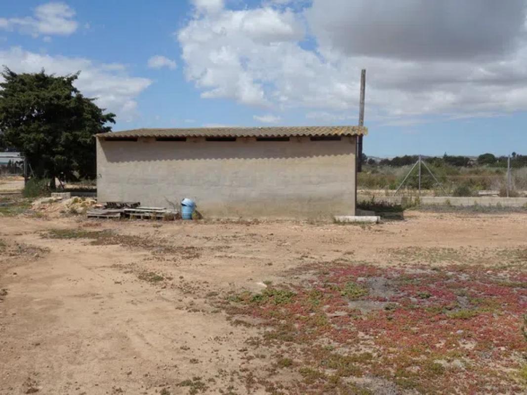 Terreno en venta en Elche / Elx, Alicante photo 5
