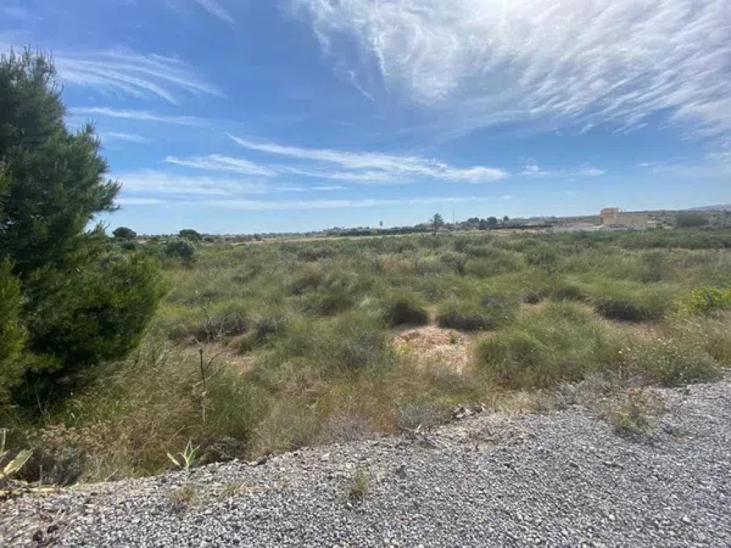 Terreno en venta en Elche / Elx, Alicante photo 1