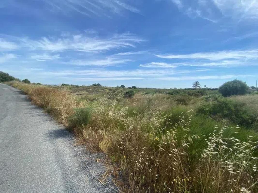 Terreno en venta en Elche / Elx, Alicante photo 2