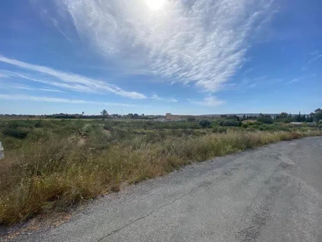 Terreno en venta en Elche / Elx, Alicante photo 3
