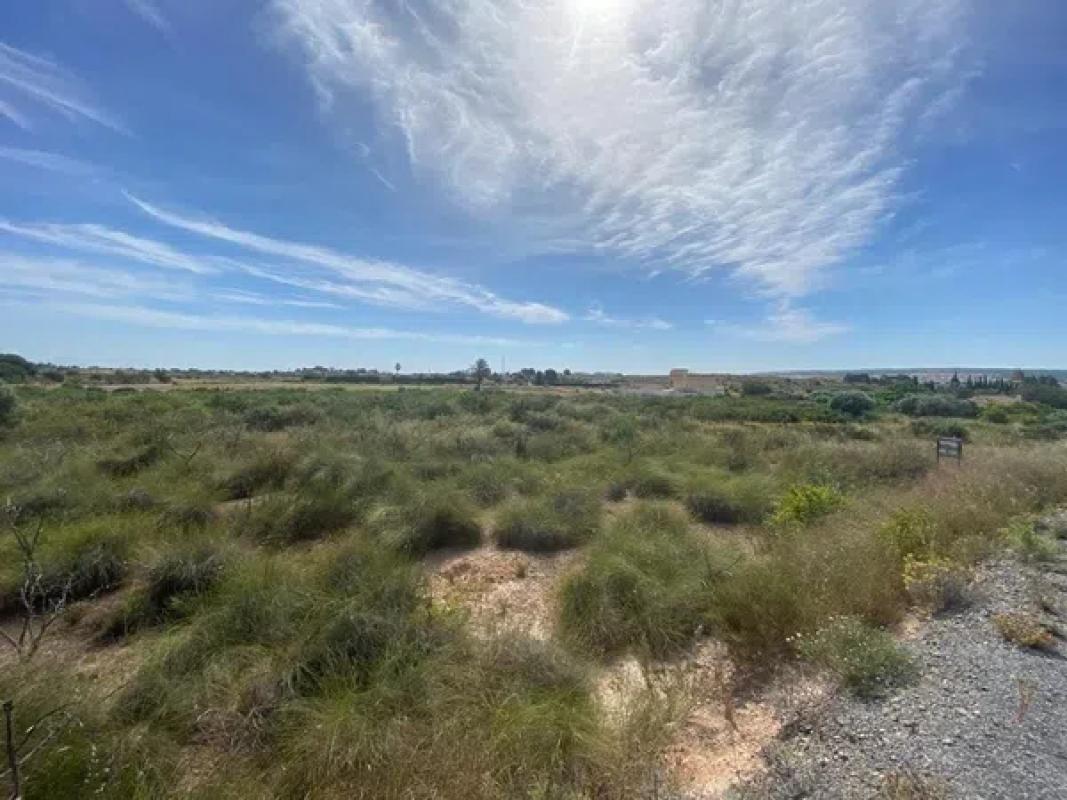 Terreno en venta en Elche / Elx, Alicante photo 4