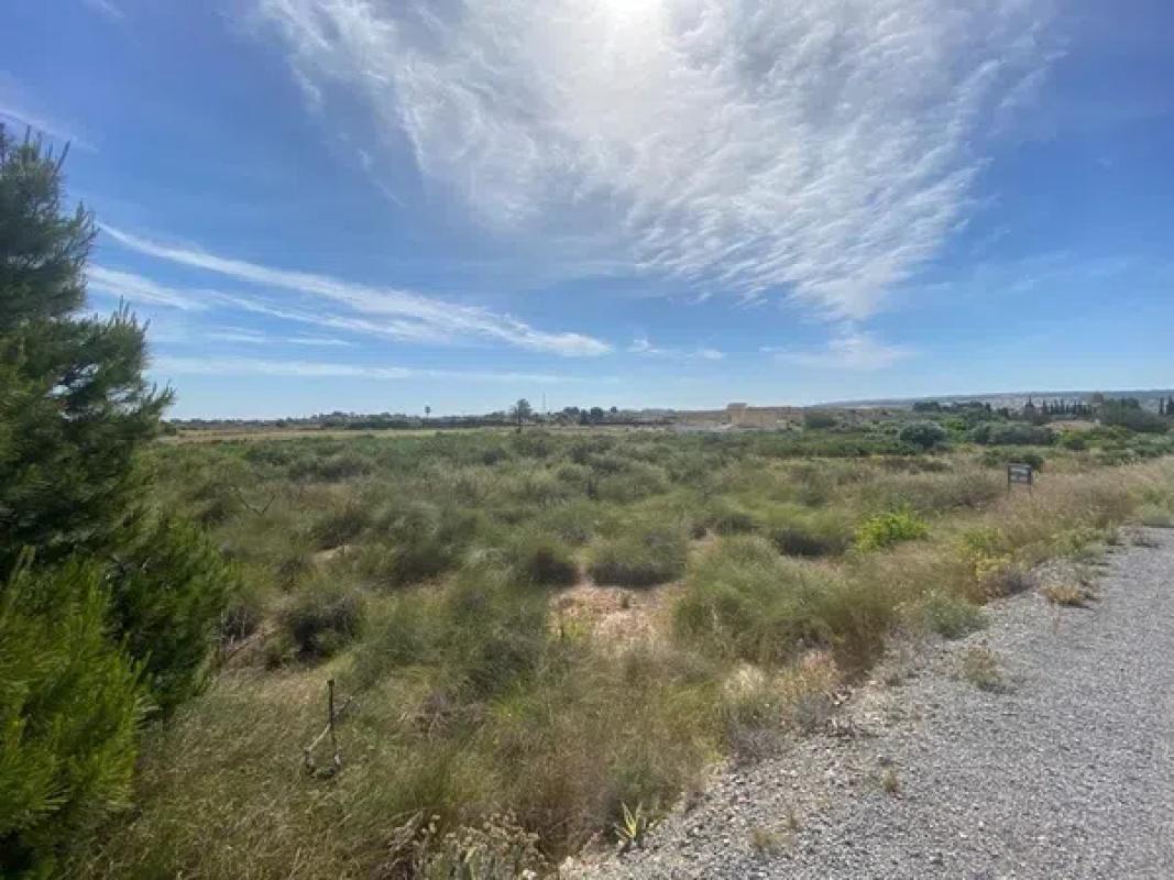 Terreno en venta en Elche / Elx, Alicante photo 5