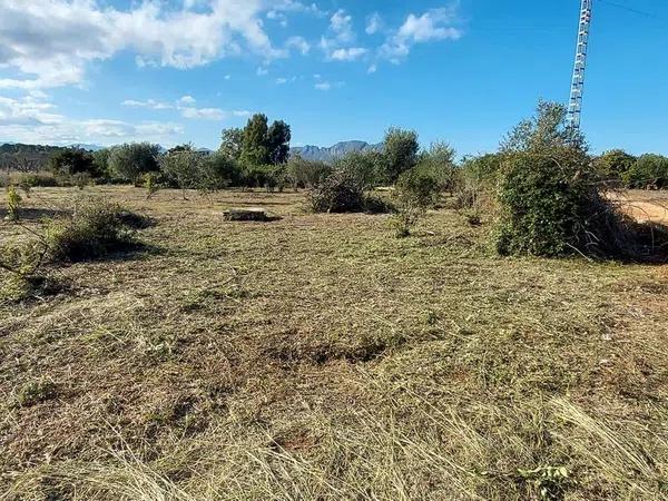 Terreno en camino de l´advocat s/n photo 2