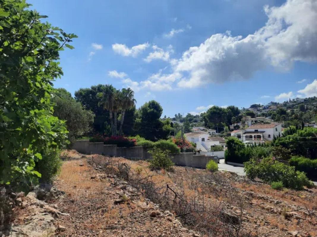 Land for sale in Denia, Alicante photo 5