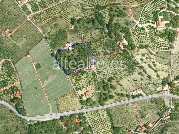 Terreno en Partida Riquet photo 1