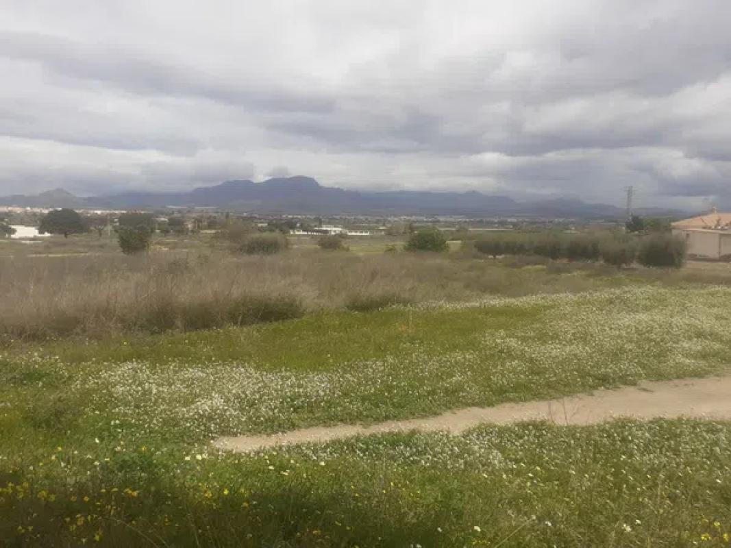 Terreno en venta en Aspe, Alicante photo 1