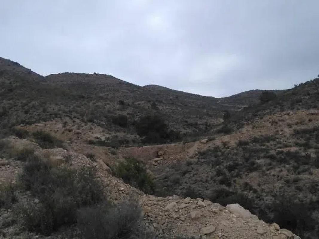 Land for sale in Mutxamel, Alicante photo 3