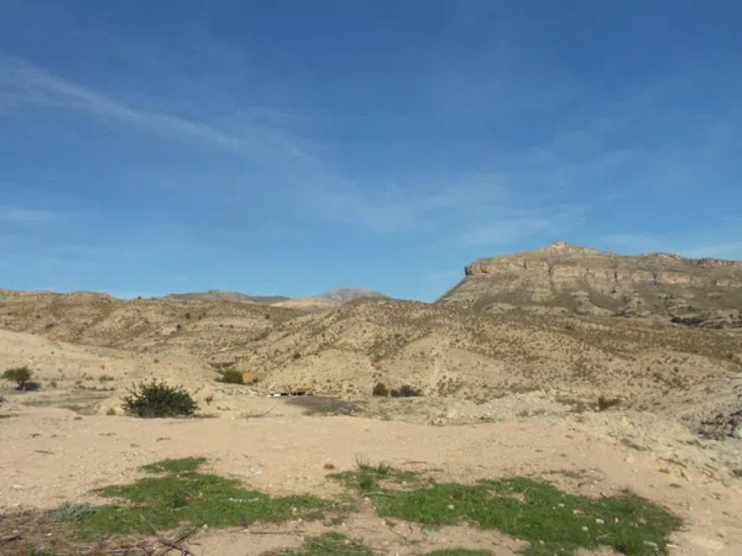 Land for sale in Mutxamel, Alicante photo 5