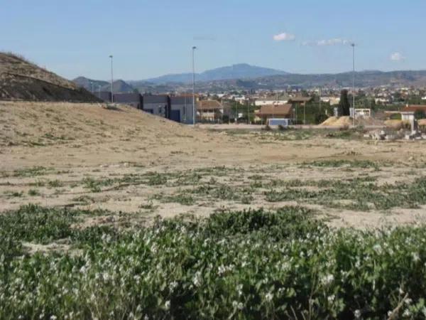 Terreno en camino de Pisana photo 2